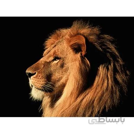 نخ و نقشه تابلو فرش حیوانات کد 34