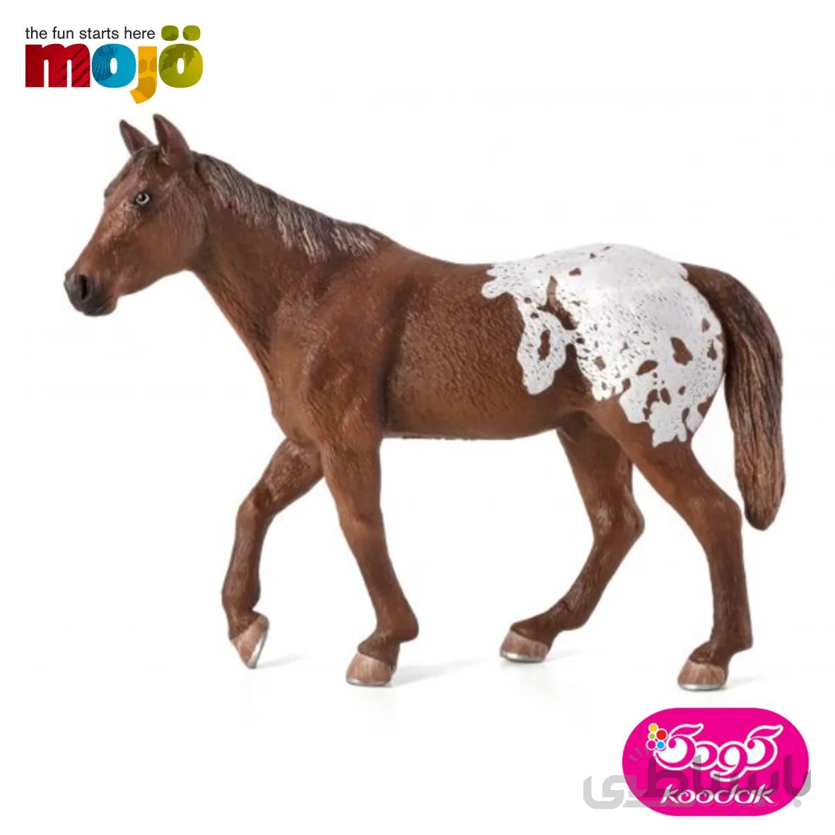 اسب شاه بلوطی یا آپالوسا 387150 – حیوانات موجو