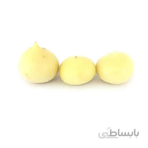 بذر موسیر کد 360267