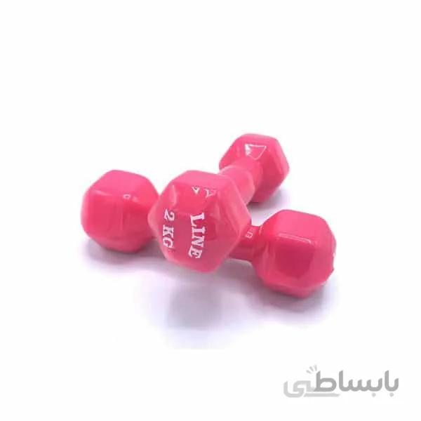دمبل لاین 2 کیلوگرم 2 عددی