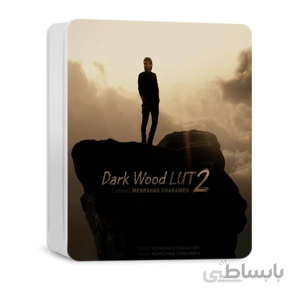 رنگ سینمایی Dark Wood LUT 2