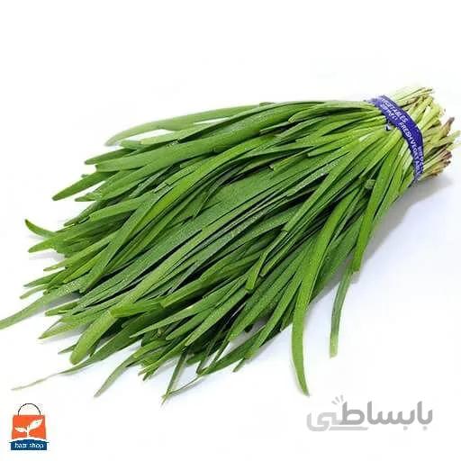 بذر تره کد 360668