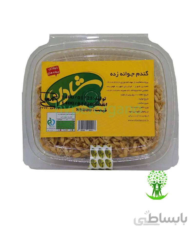 جوانه گندم 220 گرمی شادن