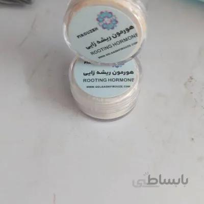 هورمون ریشه زایی گیاه
