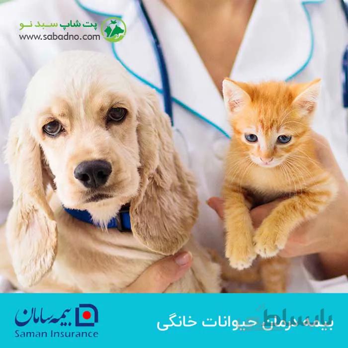 بیمه یکساله درمان حیوانات خانگی سامان