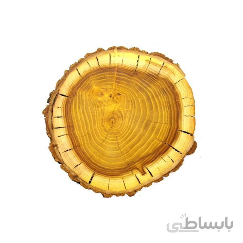 چوب کالباسی درخت توت قطر 22 سانتی‌متر