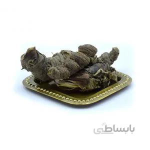 ریشه ایرسا