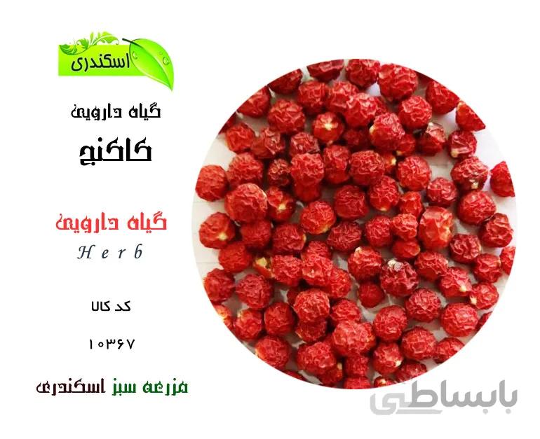 گیاه کاکنج