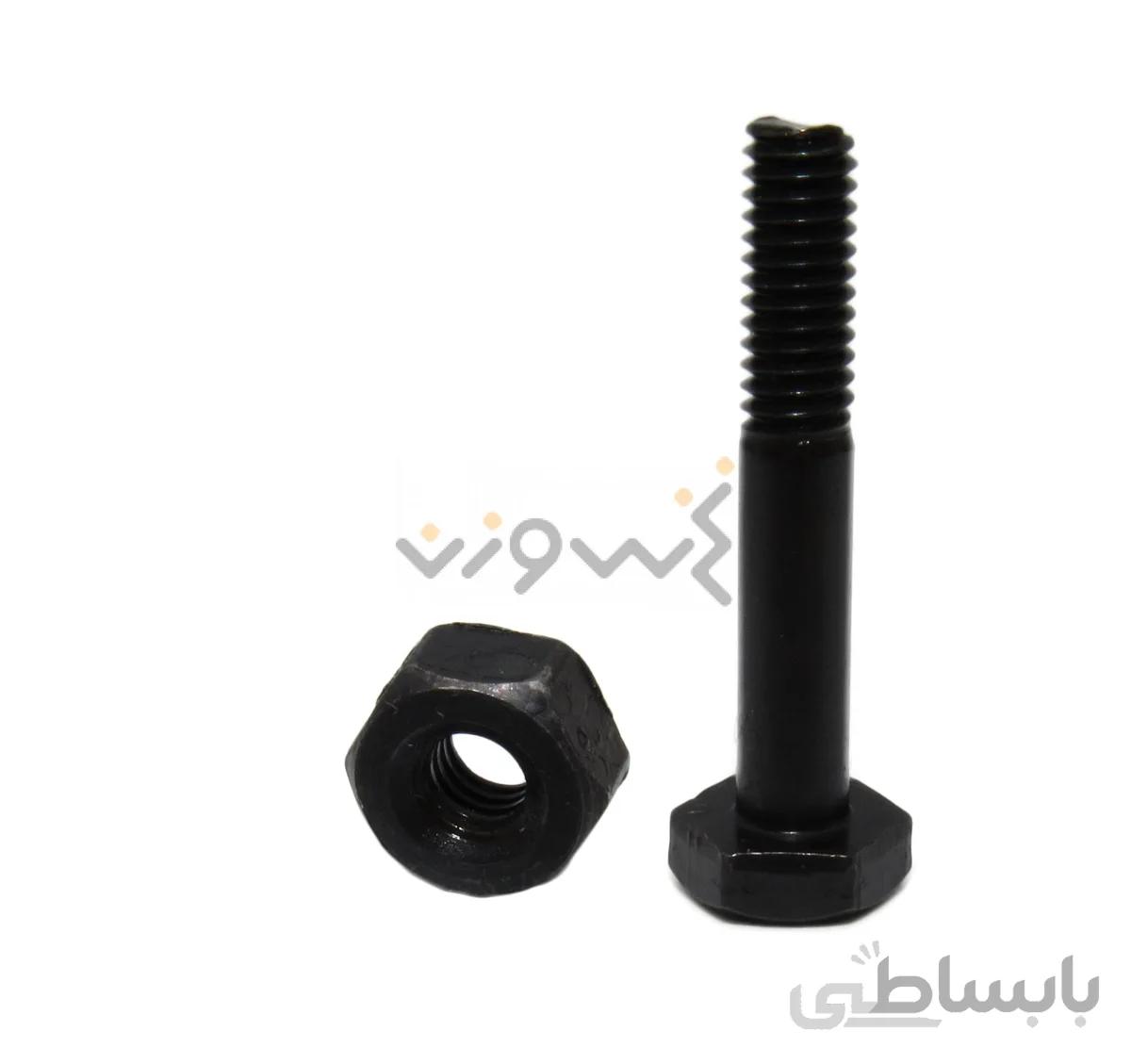 پیچ پایه سرکیسه یوهان تایوان