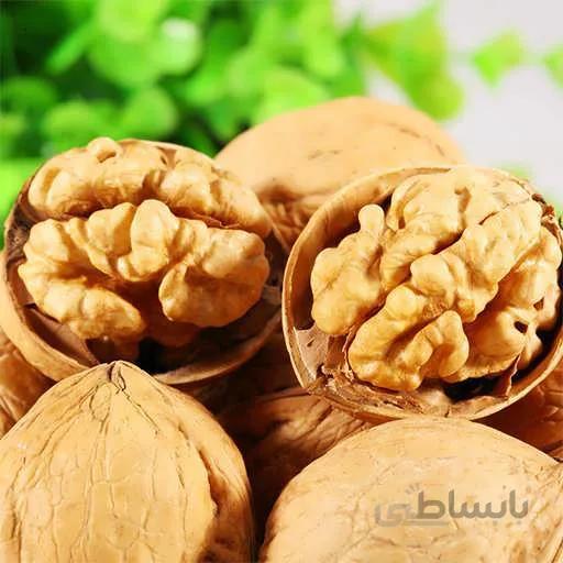 بذر درخت گردو چندلر
