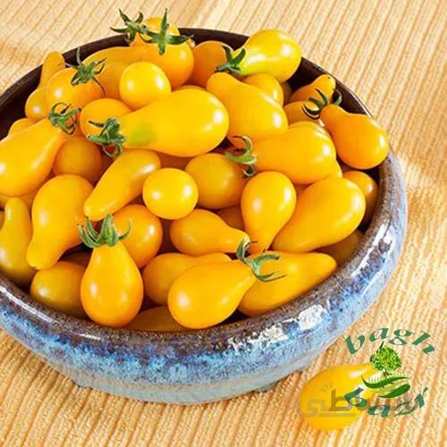 بذر گوجه گلابی زرد ( ایتالیایی)