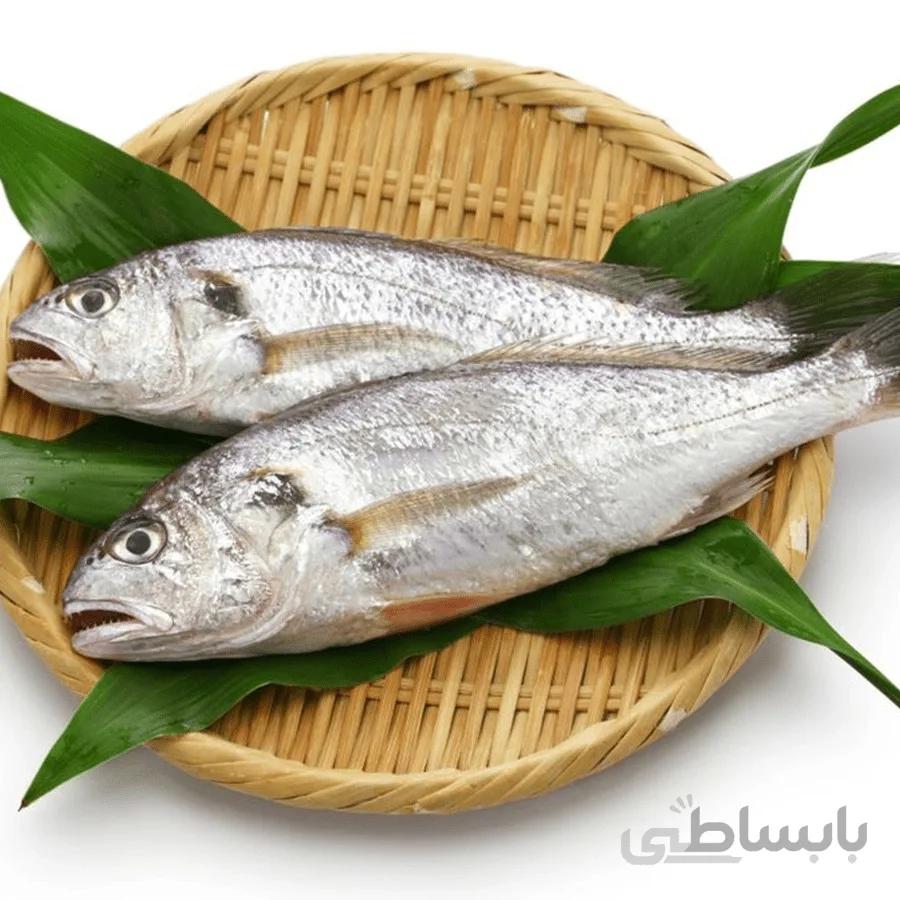 ماهی شوریده