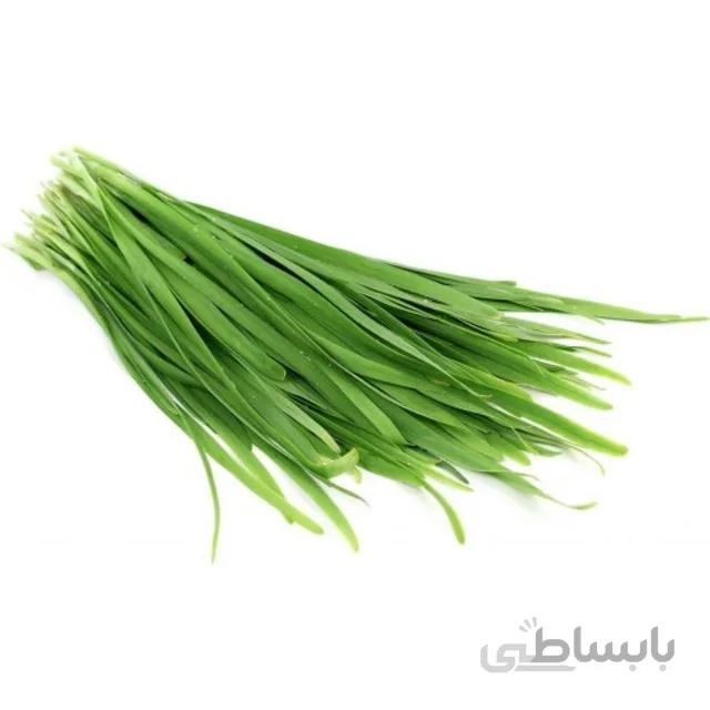 بذر تره بسته ۱۲ گرمی