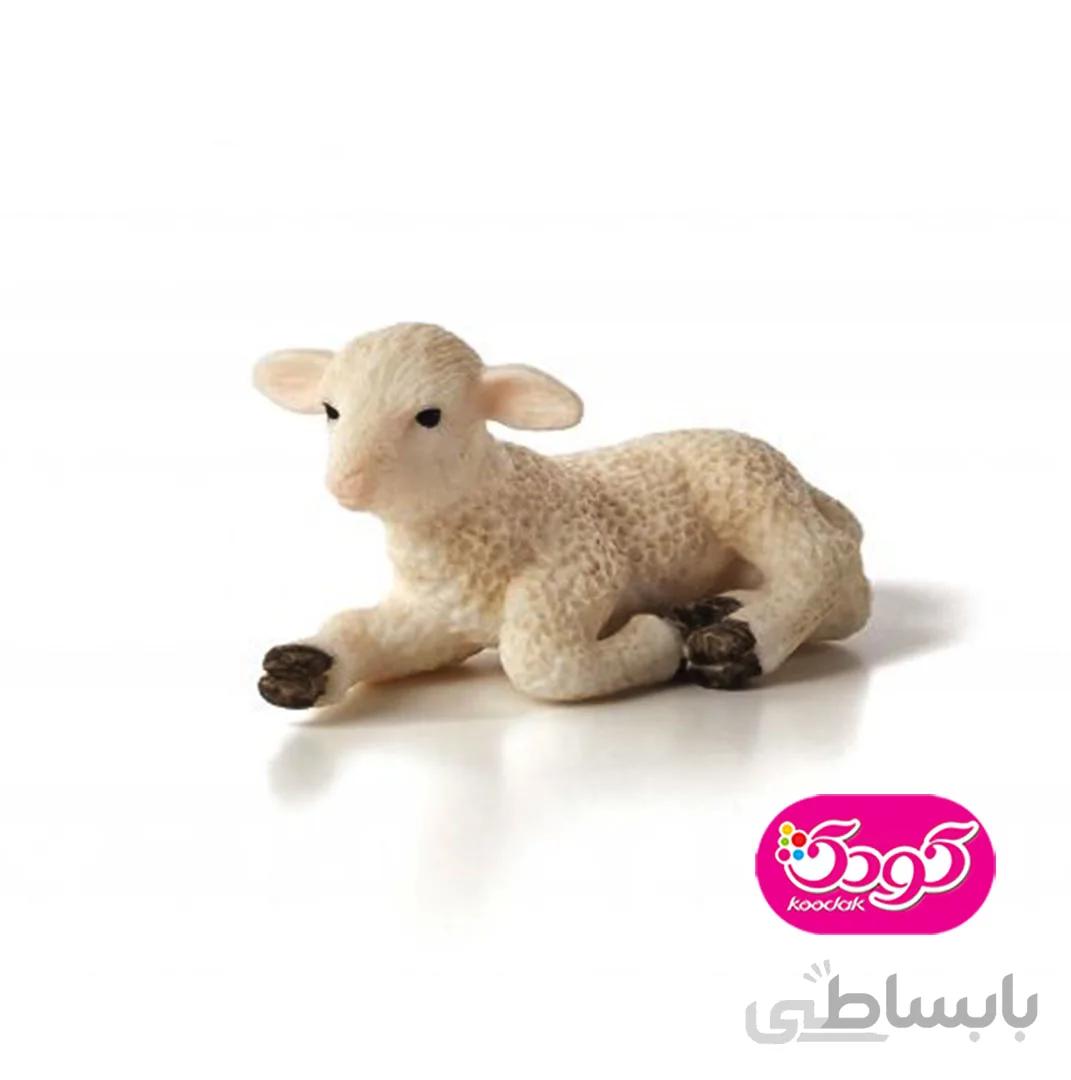 بره لمیده 387099 – حیوانات موجو