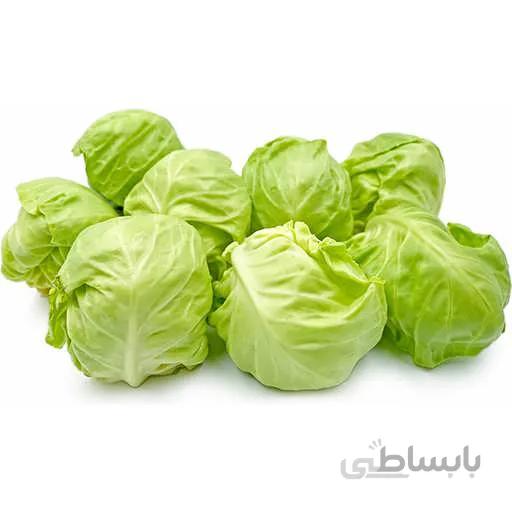 کلم پیچ سبز