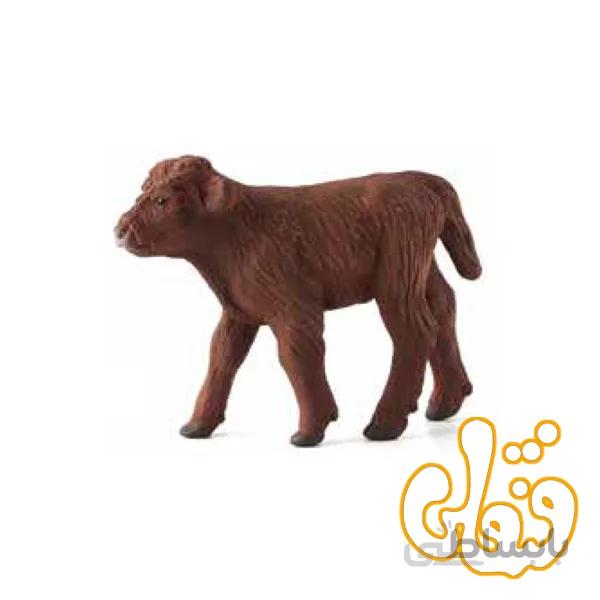 گوساله کوهستانی highland calf 387202