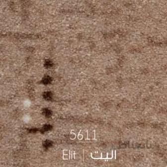 موکت الیت کرم