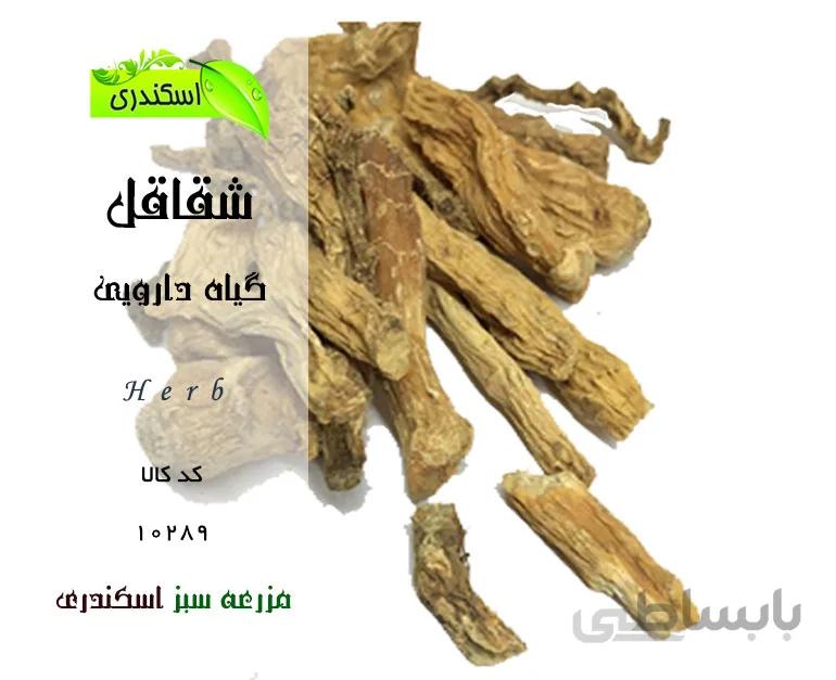 گیاه شقاقل