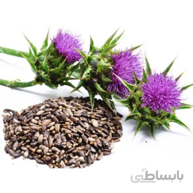 بذر گیاه خارمریم بسته ۵ گرمی