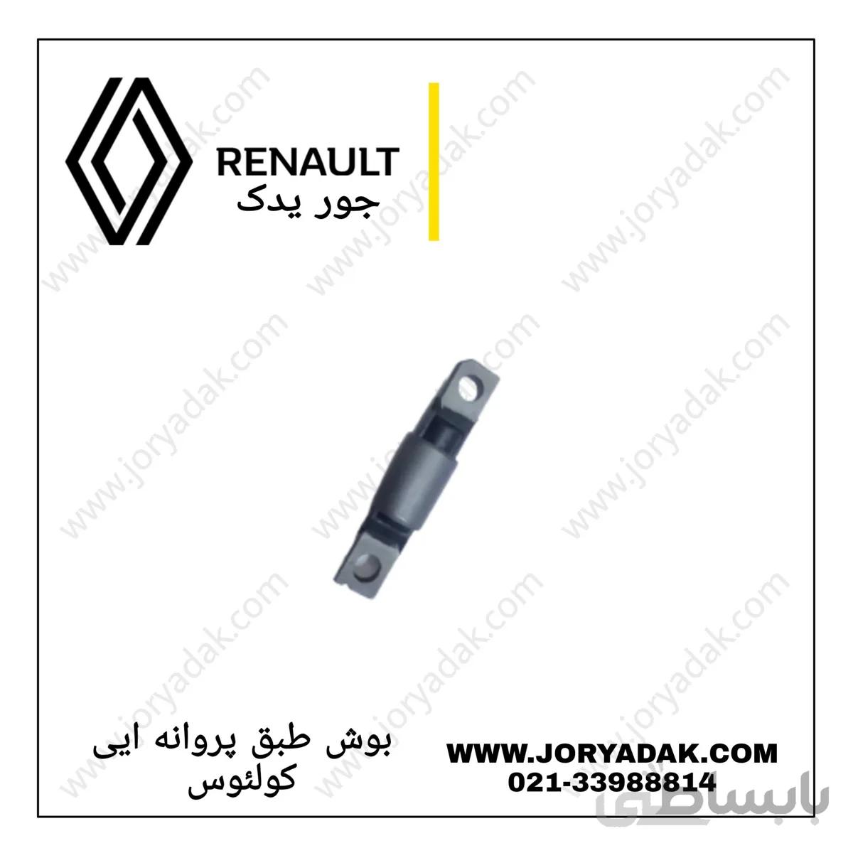 بوش طبق پروانه ایی کولئوس
