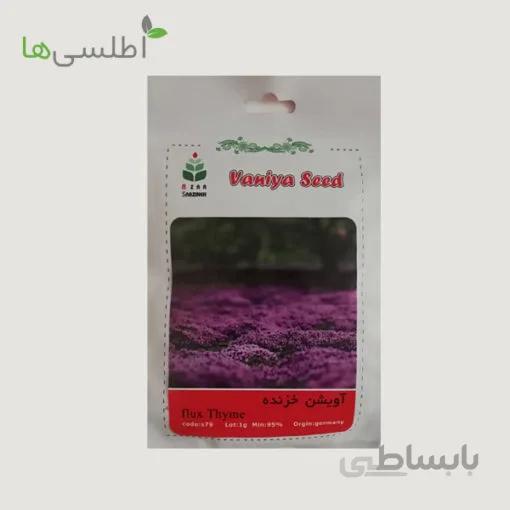 بذر آویشن خزنده