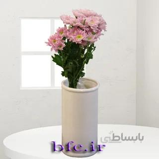 یک شاخه کرزنتیا