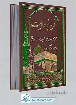 فروغ ولایت