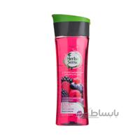 شامپو کراتینه مغذی مو آردن هرباسنس مخصوص موهای آسیب دیده و شکننده حاوی روغن آرگان و جوانه گندم حجم 300 میل ا Ardene Hereba Sense Nutritious Kreatine Shampoo 300ml