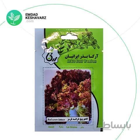 بذر کاهو پیچ فرانسه قرمز آرکا بذر