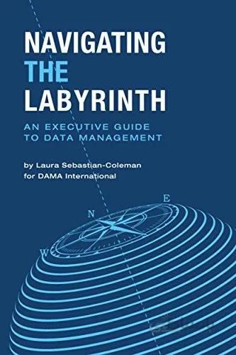 دانلود کتاب Navigating the Labyrinth: An Executive Guide to Data Management - Epub + Converted pdf