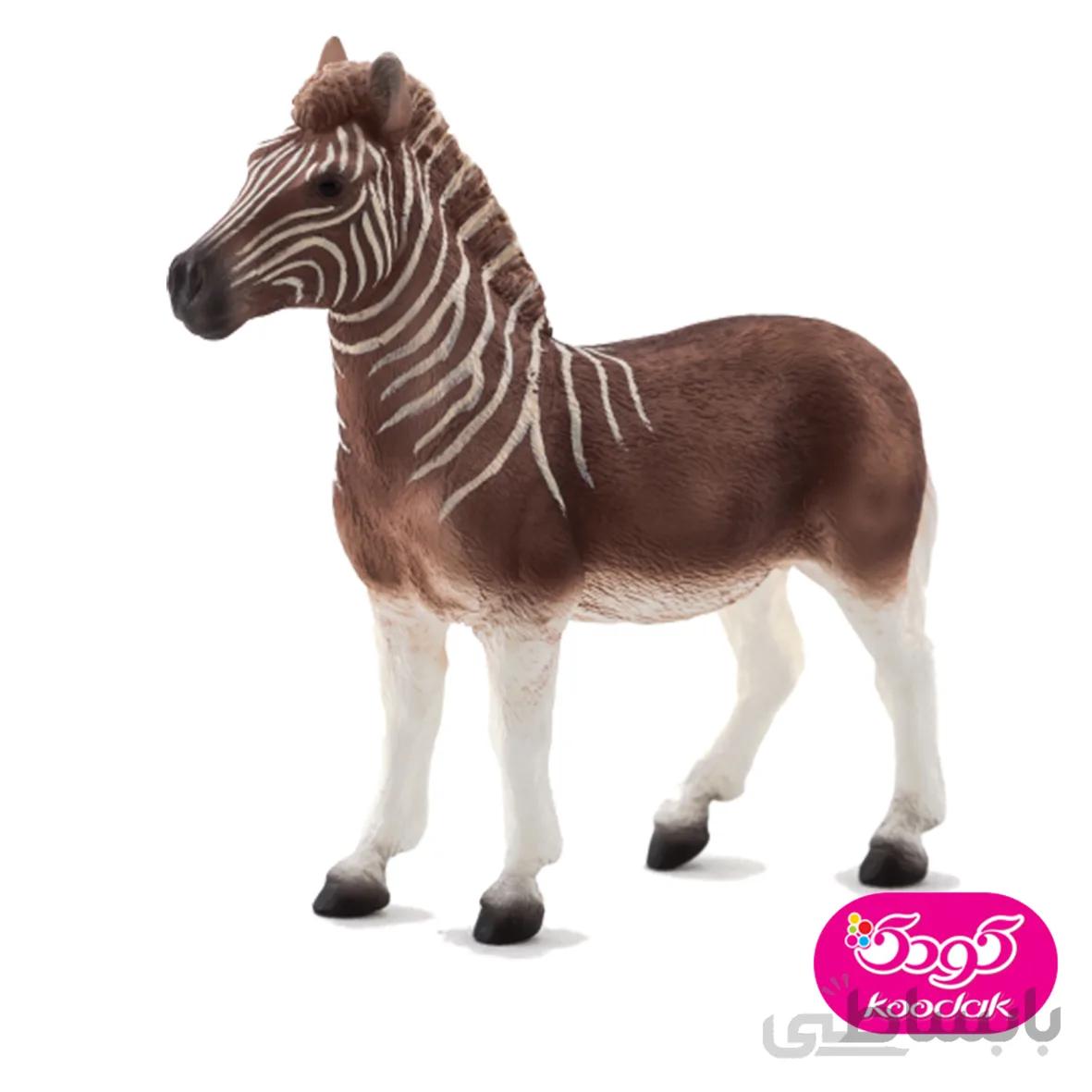 گورخر کوآگا 387158 – حیوانات موجو
