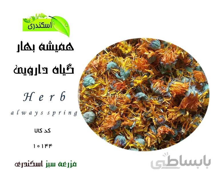 گل همیشه بهار