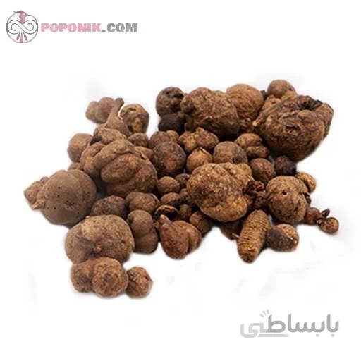 دهان بسته