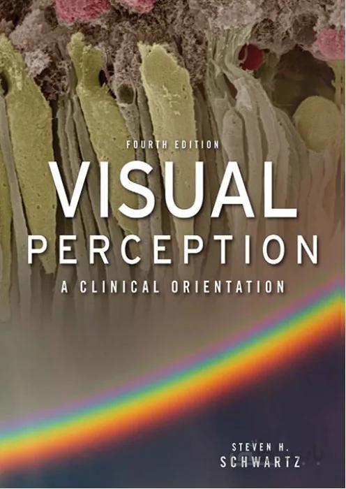 Visual Perception