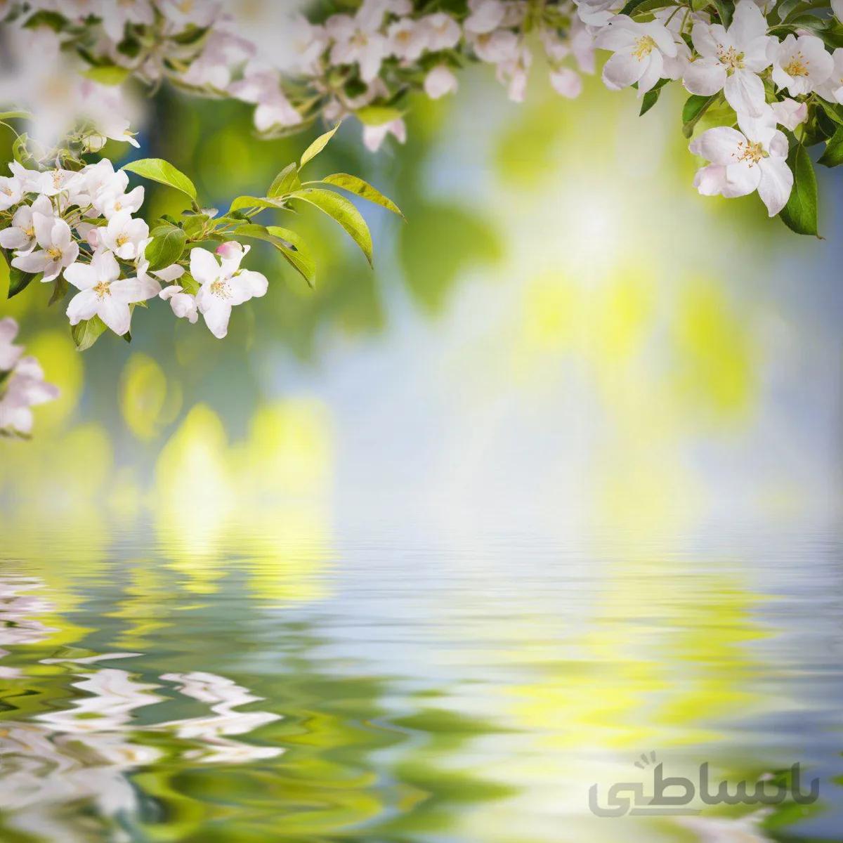 پوستر دیواری کد 934572