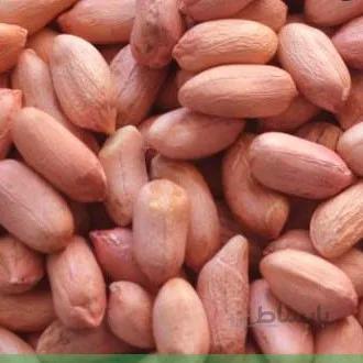 بادام زمینی خام آستانه درجه یک اعلا 1000 گرمی