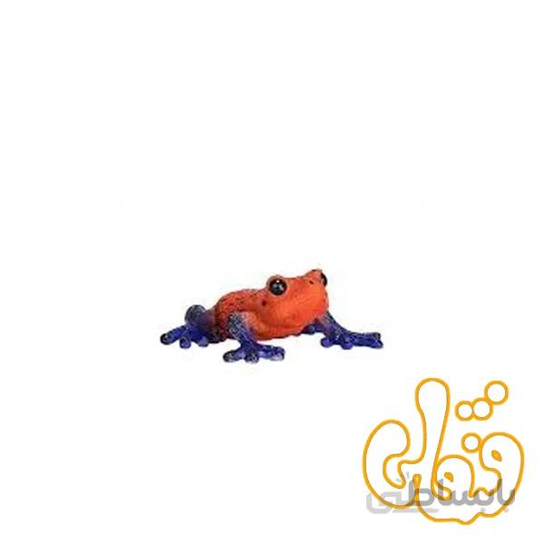قورباغه درختی سمی Poison Dart Tree Frog 381016