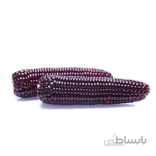 بذر ذرت شرابی اناری