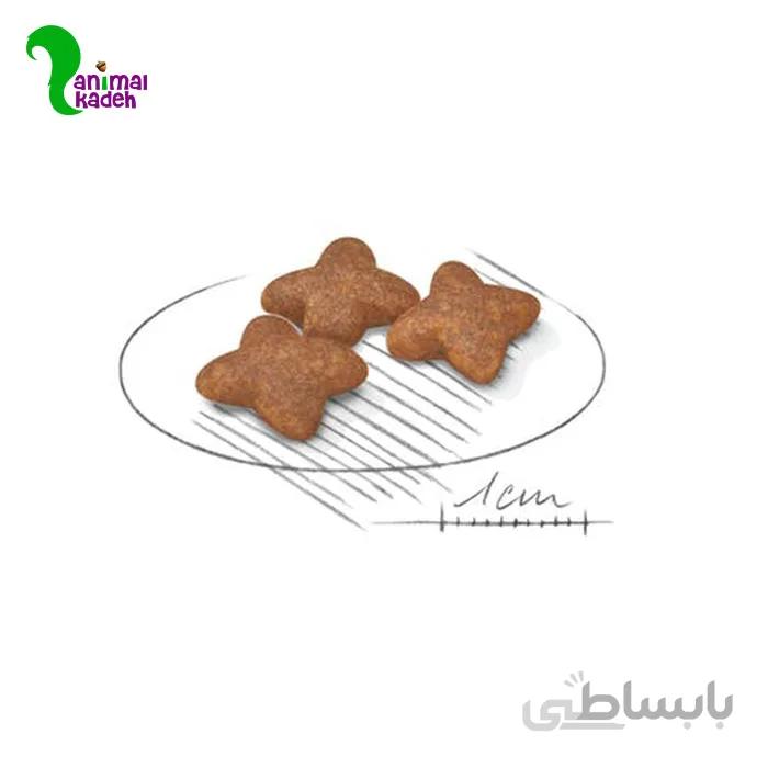 غذای خشک سگ رویال کنین مدل مینی ادالت | Mini Adult ا Royal Canin Mini Adult