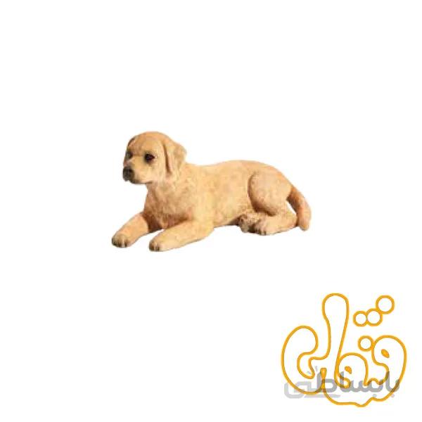 توله سگ لابرادور Labrador Puppy 387272