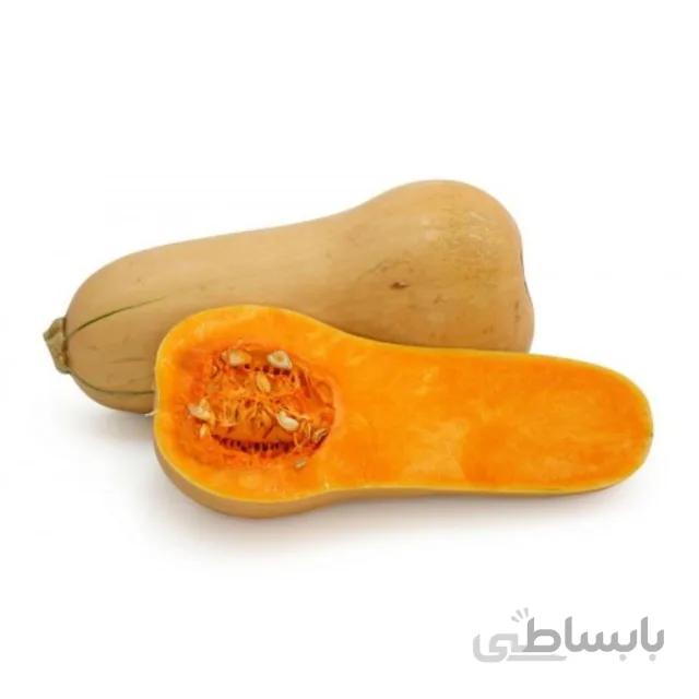 بذر کدو تنبل بسته ۵ گرمی