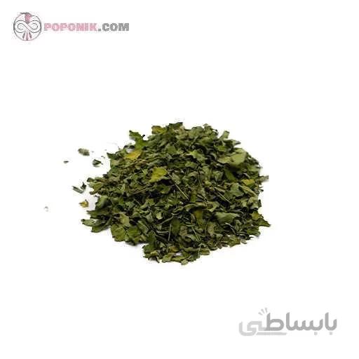 برگ مورینگا خشک