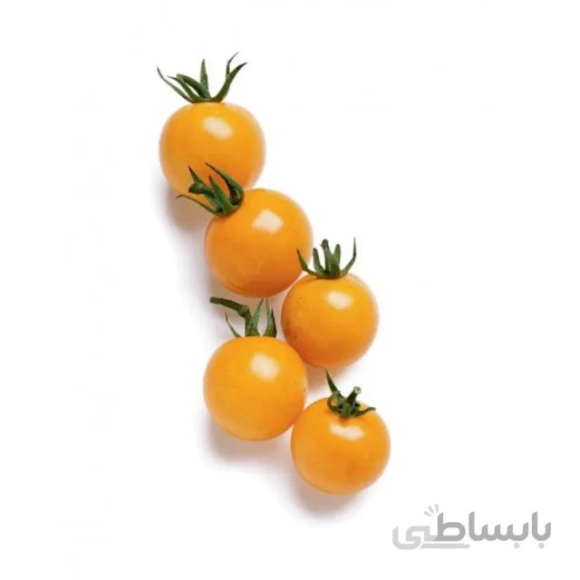 بذر گوجه چری نارنجی درختی بسته ۱۵ عددی