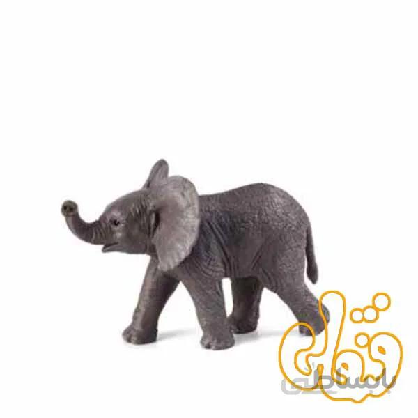 بچه فیل افریقایی African Elephant Calf 387002