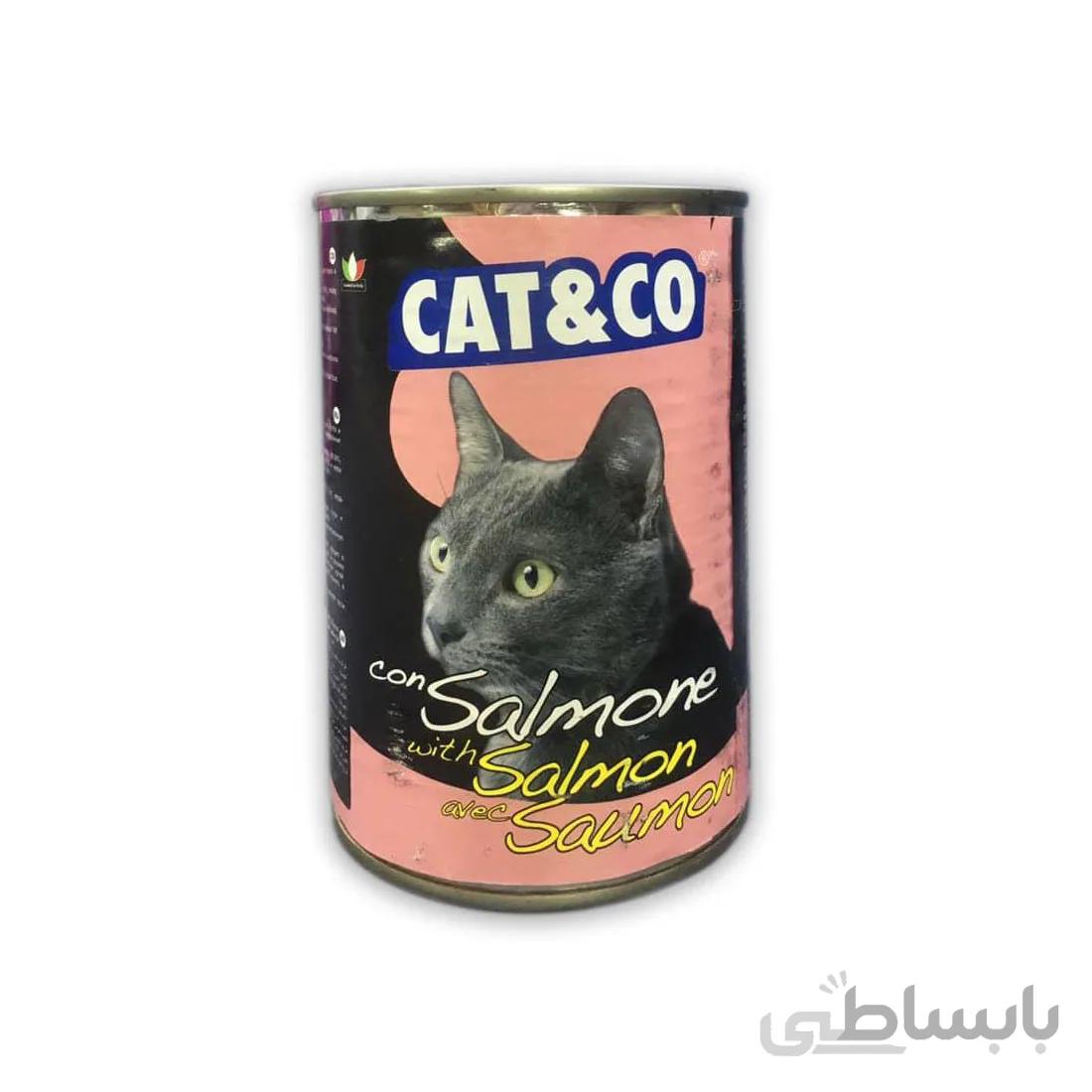 کنسرو گربه کت اند کو طعم ماهی سالمون - cat&co