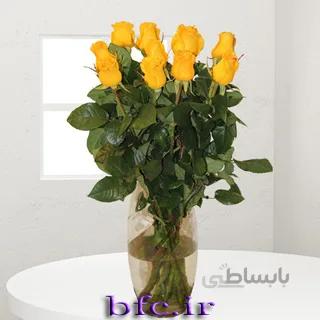 یک شاخه رز هلندی کد 1079470