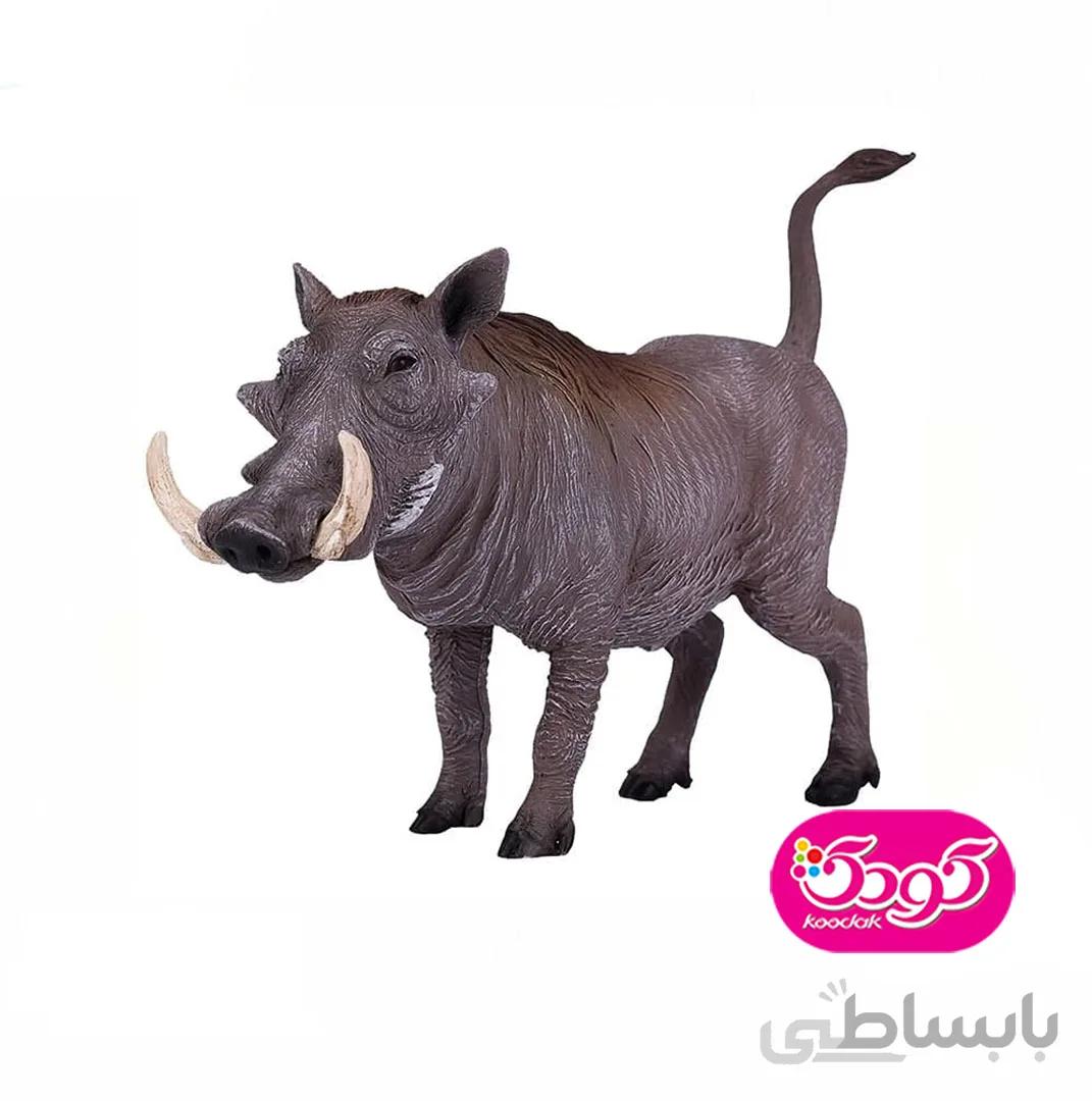گراز زگیل دار 381031 – حیوانات موجو