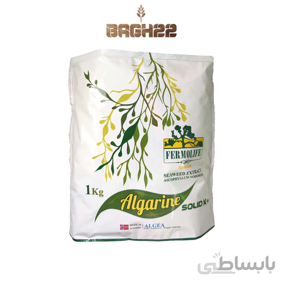 الگارین جلبک دریایی سیوید اکسترک پودر نروژی