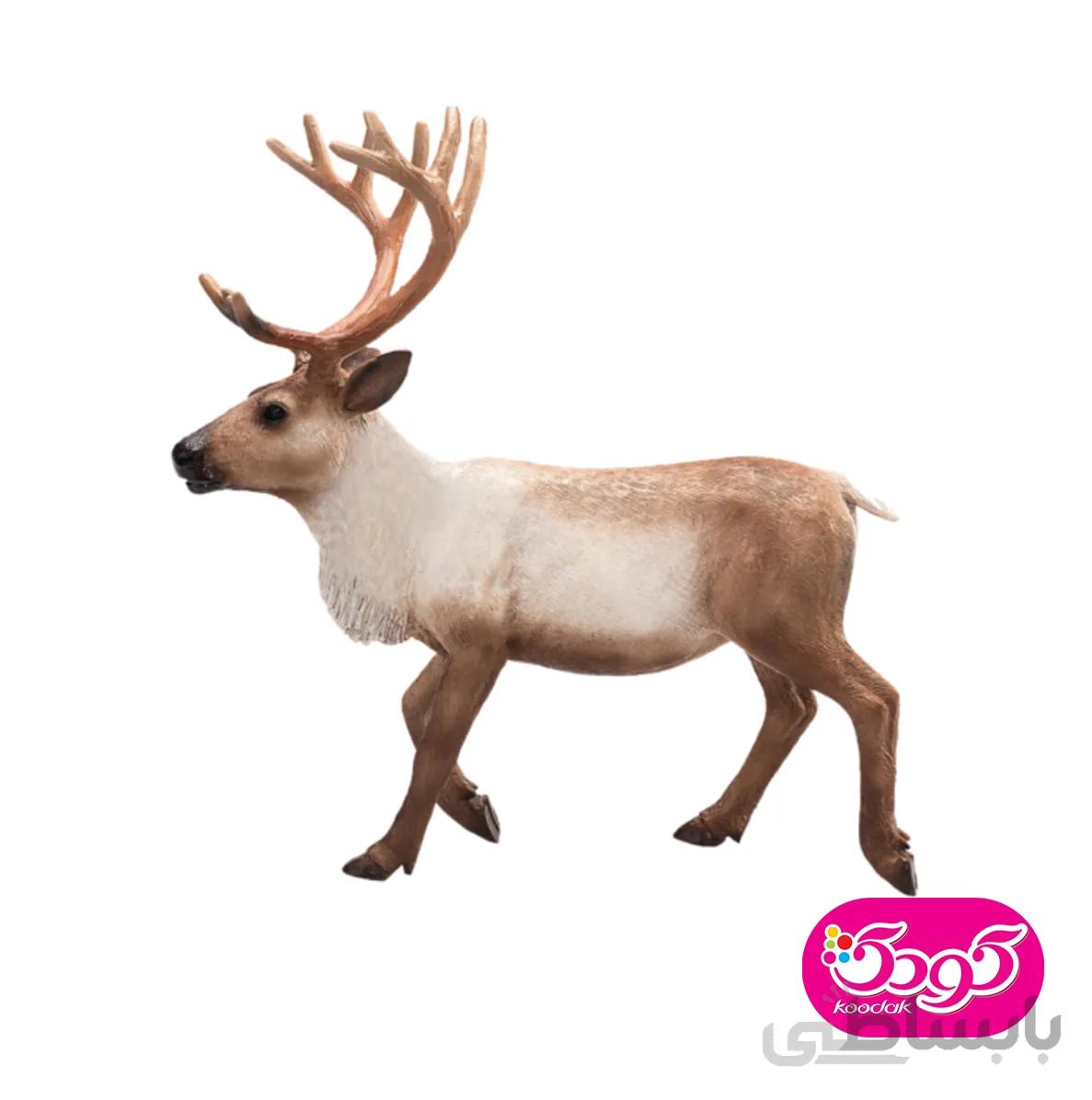 گوزن شمالی 387186 – حیوانات موجو