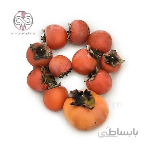 نهال خرمالو سیبی